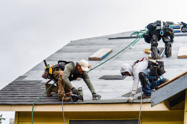 Professional Gutter Installation technician working in Jumping Branch, WV
